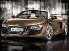 Автомобильная элита: Audi R8 Spyder 5.2 FSI Quattro