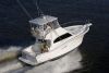 Luhrs 35 Convertible